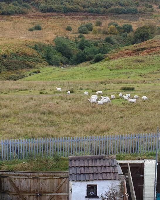 Welsh Miners Cottage Four Bedroom House Treherbert Bagian luar foto